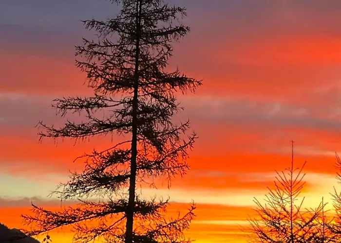 Ski-willy Appartamento