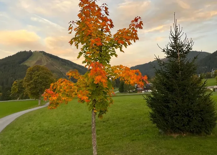 Appartamento Ski-willy Ramsau am Dachstein